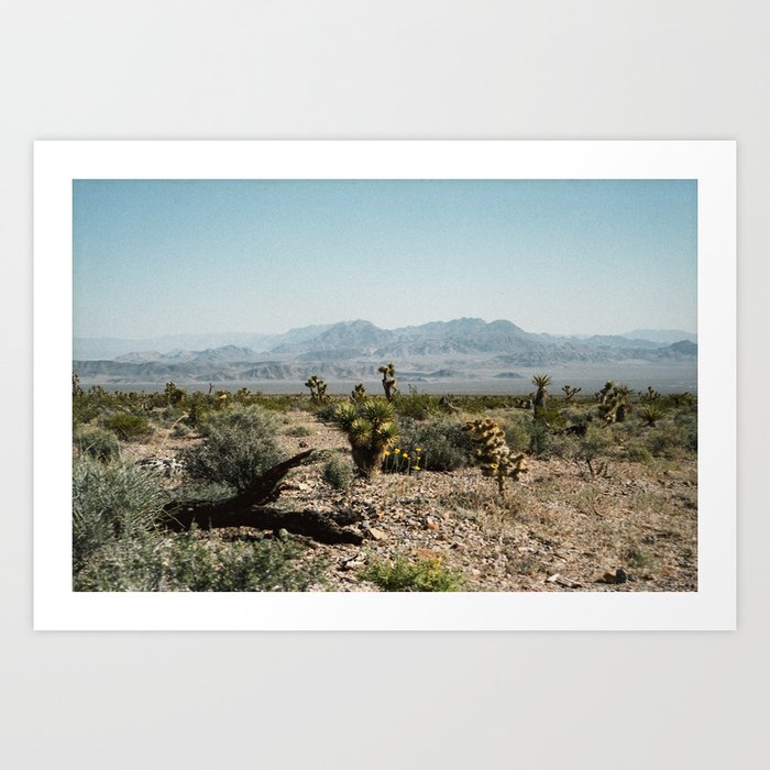 Nevada Desert Scene Art Print