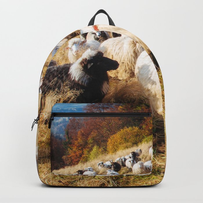 Flock Sheep 45 Backpack