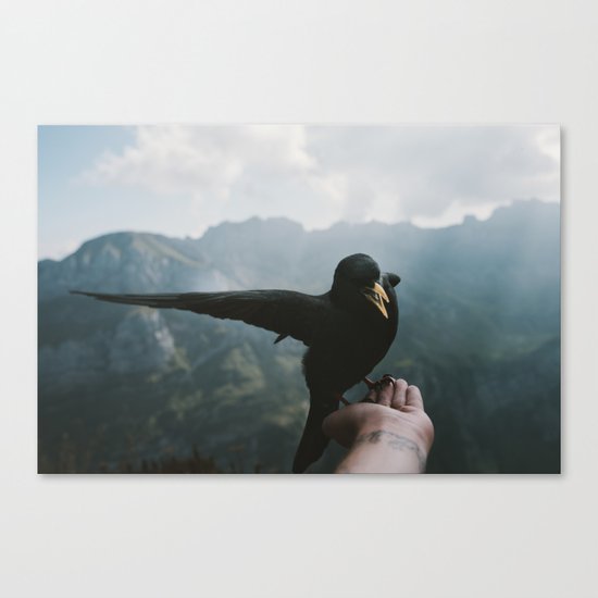 A wild Bird - landscape photography Canvas Print