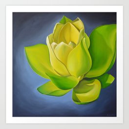 Blooming Lotus Art Print