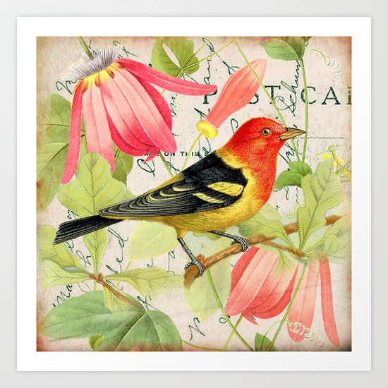 Vintage Bird #4 Art Print
