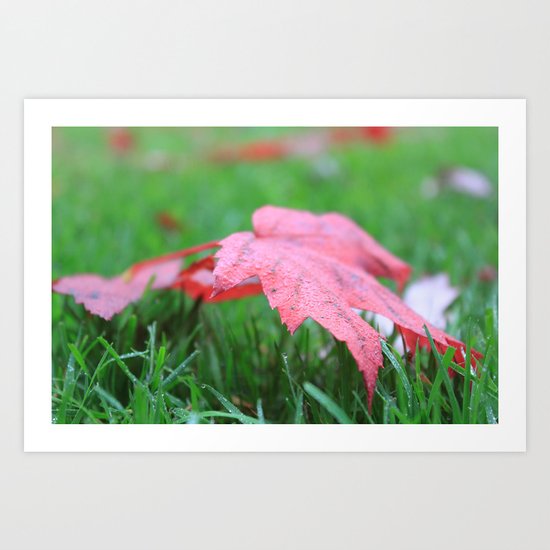 Dewy Leaves & Blades of Grass Art Print
