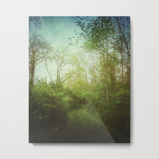 Follow Your Life Path Metal Print