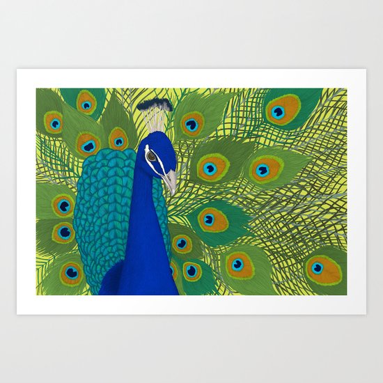 Peacock in Colour Art Print