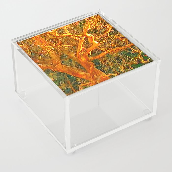 Golden Twisted Tree Acrylic Box