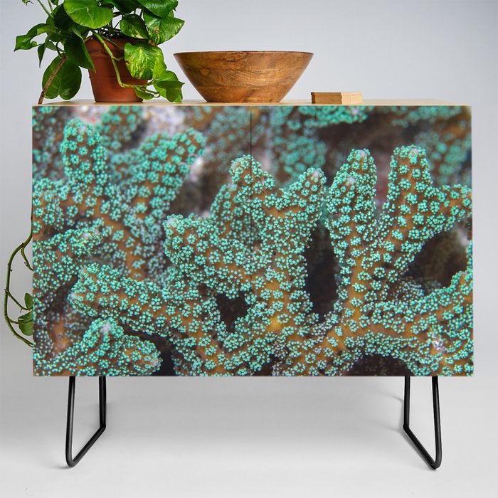 Turquoise-tipped coral Credenza