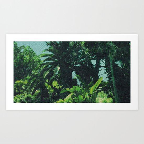 Tropical Art Print
