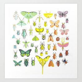 Rainbow of Bugs Art Print