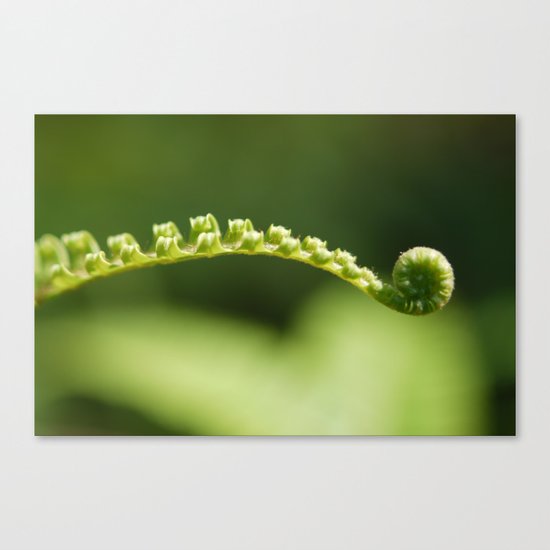 born Canvas Print