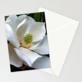 Backyard Magnolia Stationery Cards