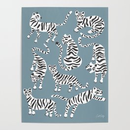 Tiger Collection – White on Blue Poster