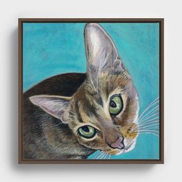 Juba the Abyssinian Cat Framed Canvas