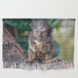Brazil Photography - Monkey Eating On A Branch Wall Hanging