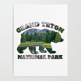 Grand Teton National Park Grizzly Bear Landscape Mountains Wyoming Poster