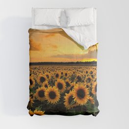 Sunflower field Comforter