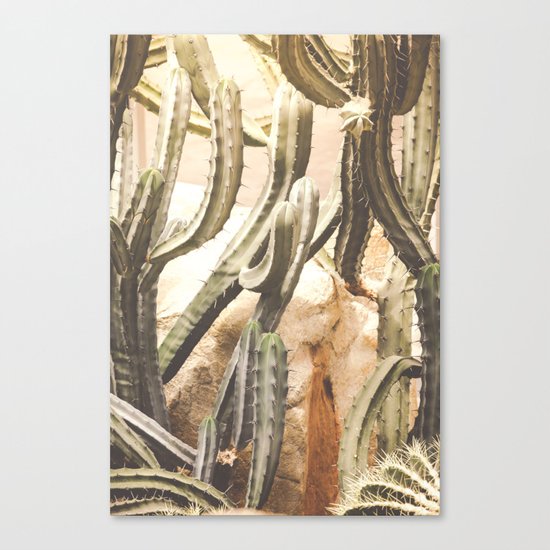 Cactus Jungle Canvas Print