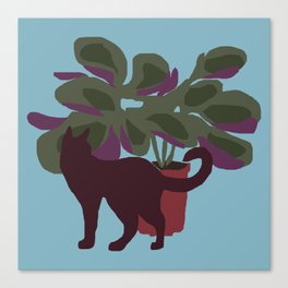 Cat and Prayer plant Canvas Print
