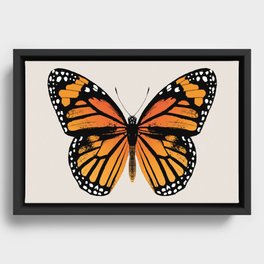 Monarch Butterfly | Vintage Butterfly | Framed Canvas