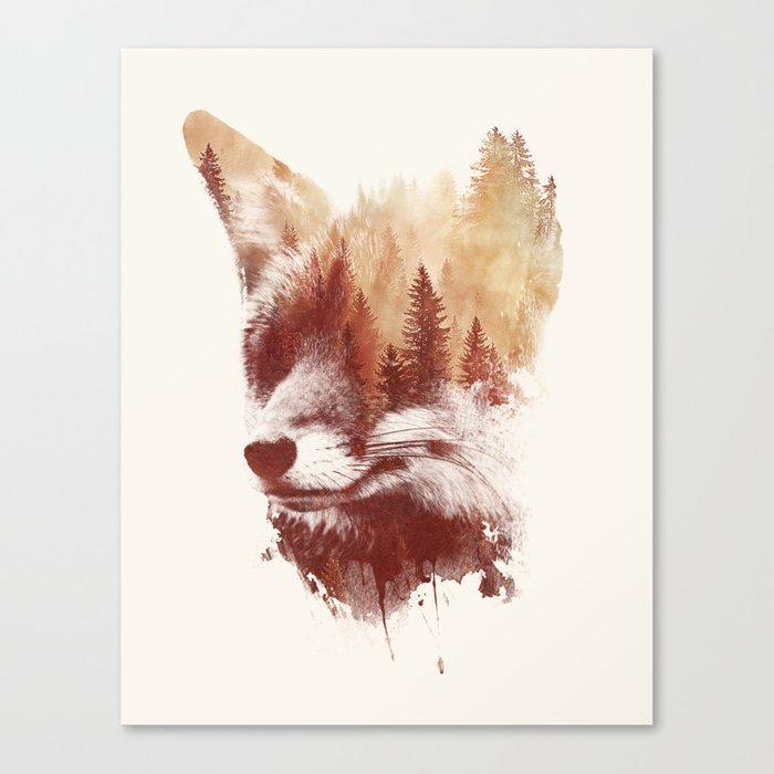 Blind fox Canvas Print