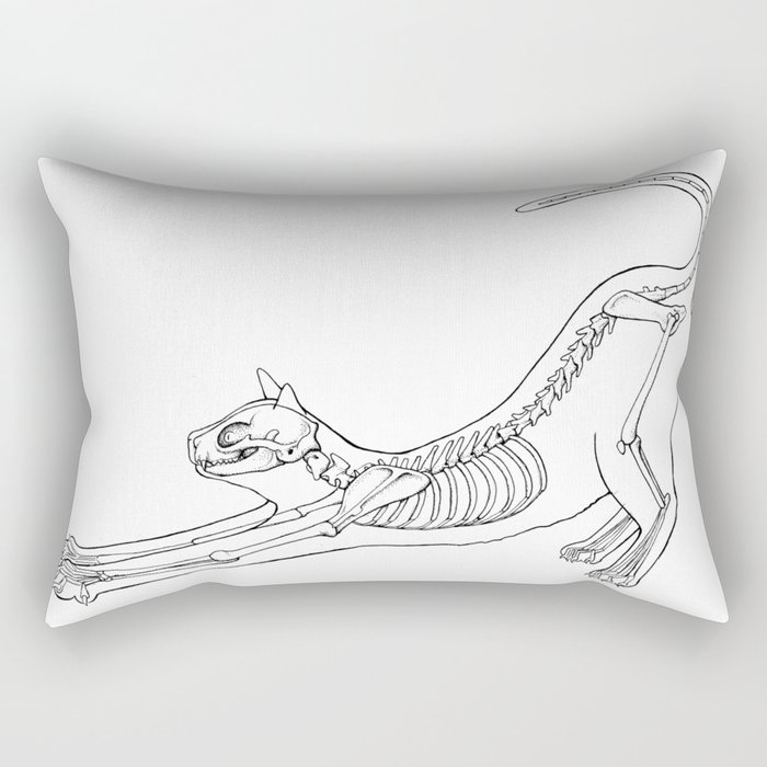 Cat Anatomy Rectangular Pillow