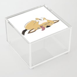 Puppy happily lying on their back Acrylic Box