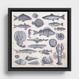 Under the Sea Framed Canvas