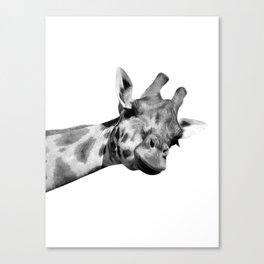 Black and white giraffe Canvas Print