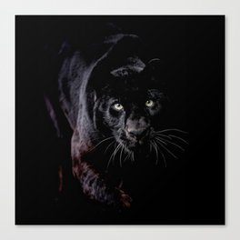 Panther Eyes Canvas Print