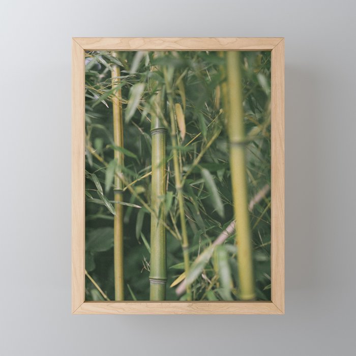 bamboo composition no.1 Framed Mini Art Print