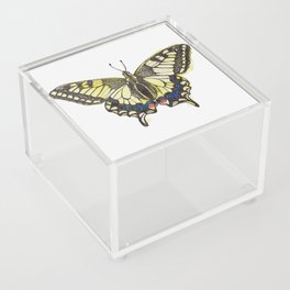 Swallowtail Butterfly Acrylic Box