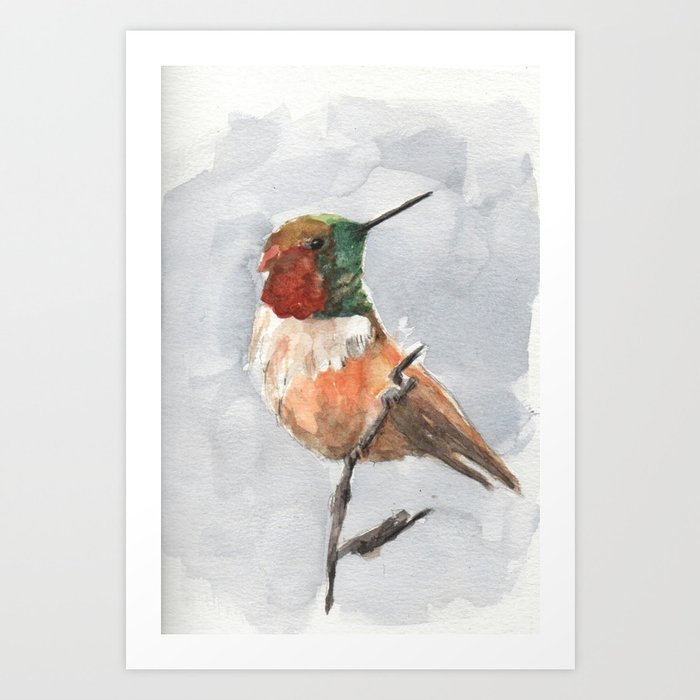 hummingbird watercolor Art Print
