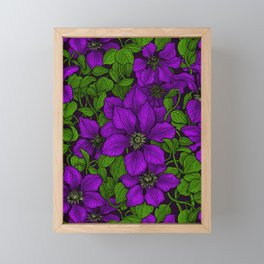 Purple Clematis vine Framed Mini Art Print