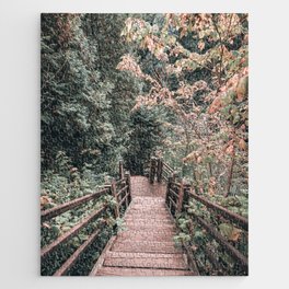 Forest Stairs Jigsaw Puzzle