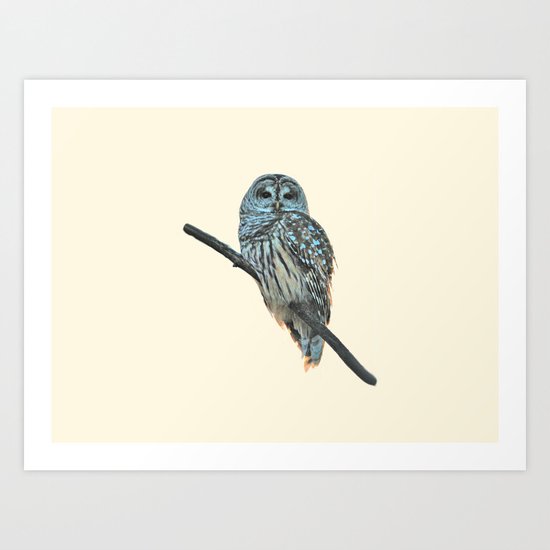Barred Owl (beige) Art Print