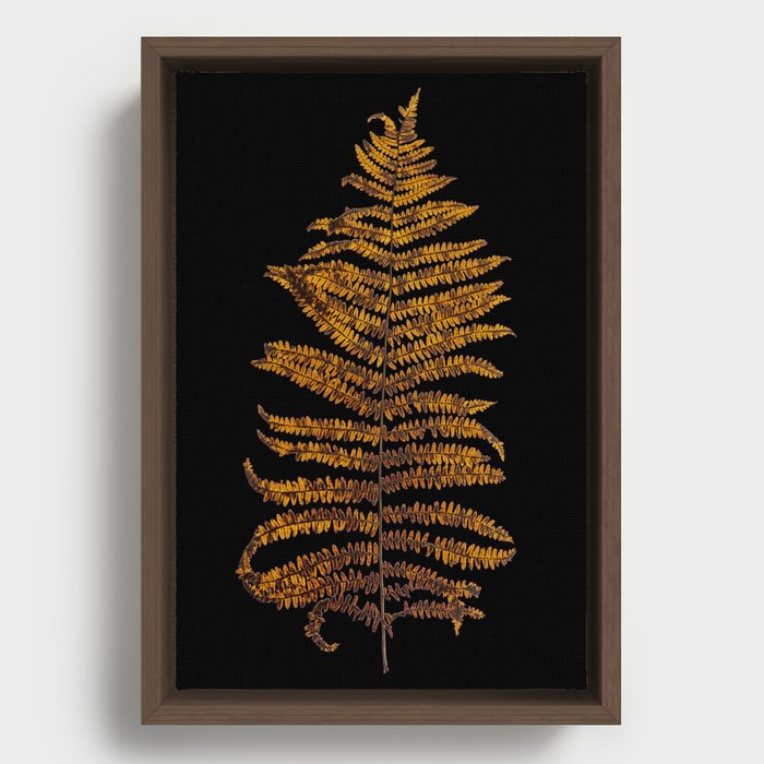 Fern Framed Canvas