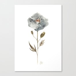 Dawning Dusk Poppy Canvas Print