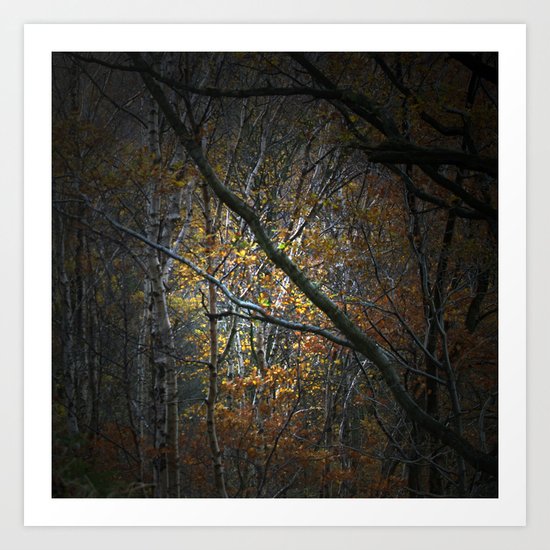 Tapiola Art Print