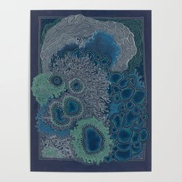 Coral Poster