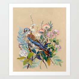 Floral Falcon Garden Art Print