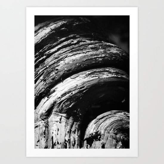 Curves Art Print