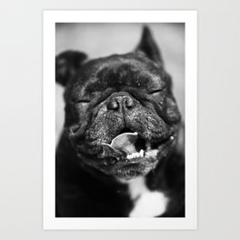French Bulldog Art Print | Dog, Black And White, Lustig, Frenchbulldogge, Fashiondog, Pet, Funny, Razadelperro, Perromoda, Hunderasse 