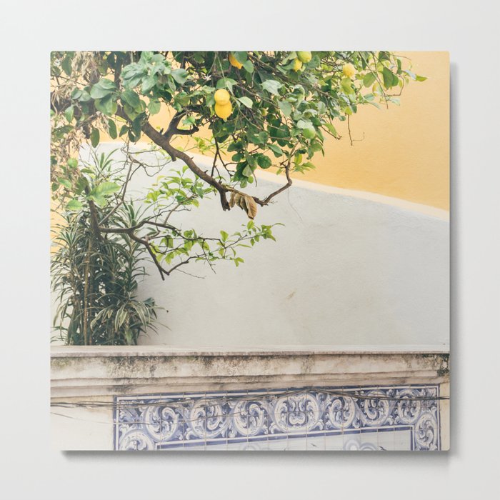 Lemon Tree in Portugal Photography - Blue Portugese Tiles - Fine Art Travel Metal Print