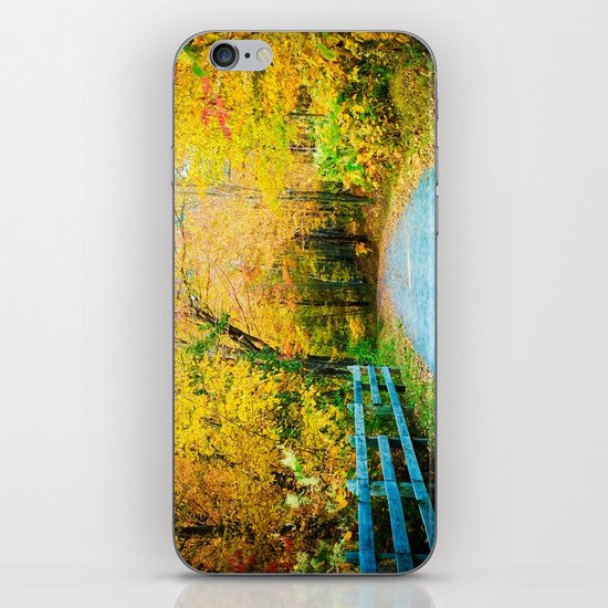 Autumn Trail iPhone & iPod Skin