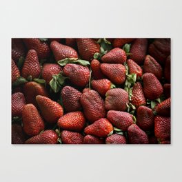 Berry Tasty Canvas Print