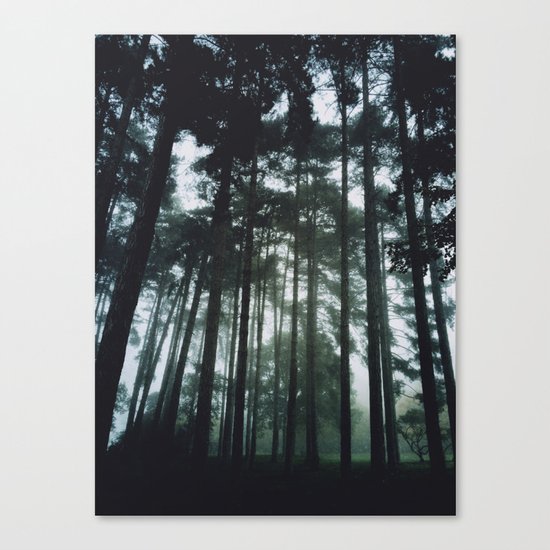 Trees Canvas Print
