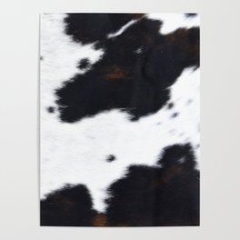 Cowhide Print (Cowhide Prints Collection ii) (ix 2021) Poster