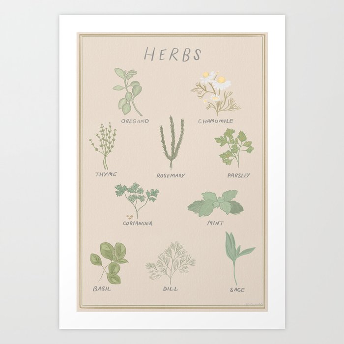 Herbs Chart  Art Print