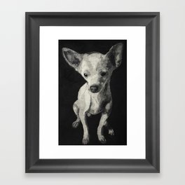 Chihuahua dog  Framed Art Print