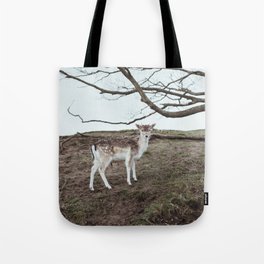 Young fallow deer in the Amsterdam Waterleidingduinen | Travel photography fine art photo print | The Netherlands, Europe Tote Bag