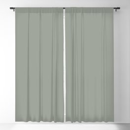 Frosty Pastel Green Solid Color Pairs with Sherwin Williams Haven 2020 Color - Acacia Haze SW 9132 Blackout Curtain